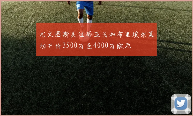 尤文图斯关注蒂亚戈加布里埃尔莱切开价3500万至4000万欧元